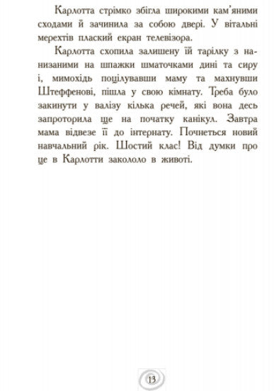 Несподівані знайомства в інтернаті. Книга 2